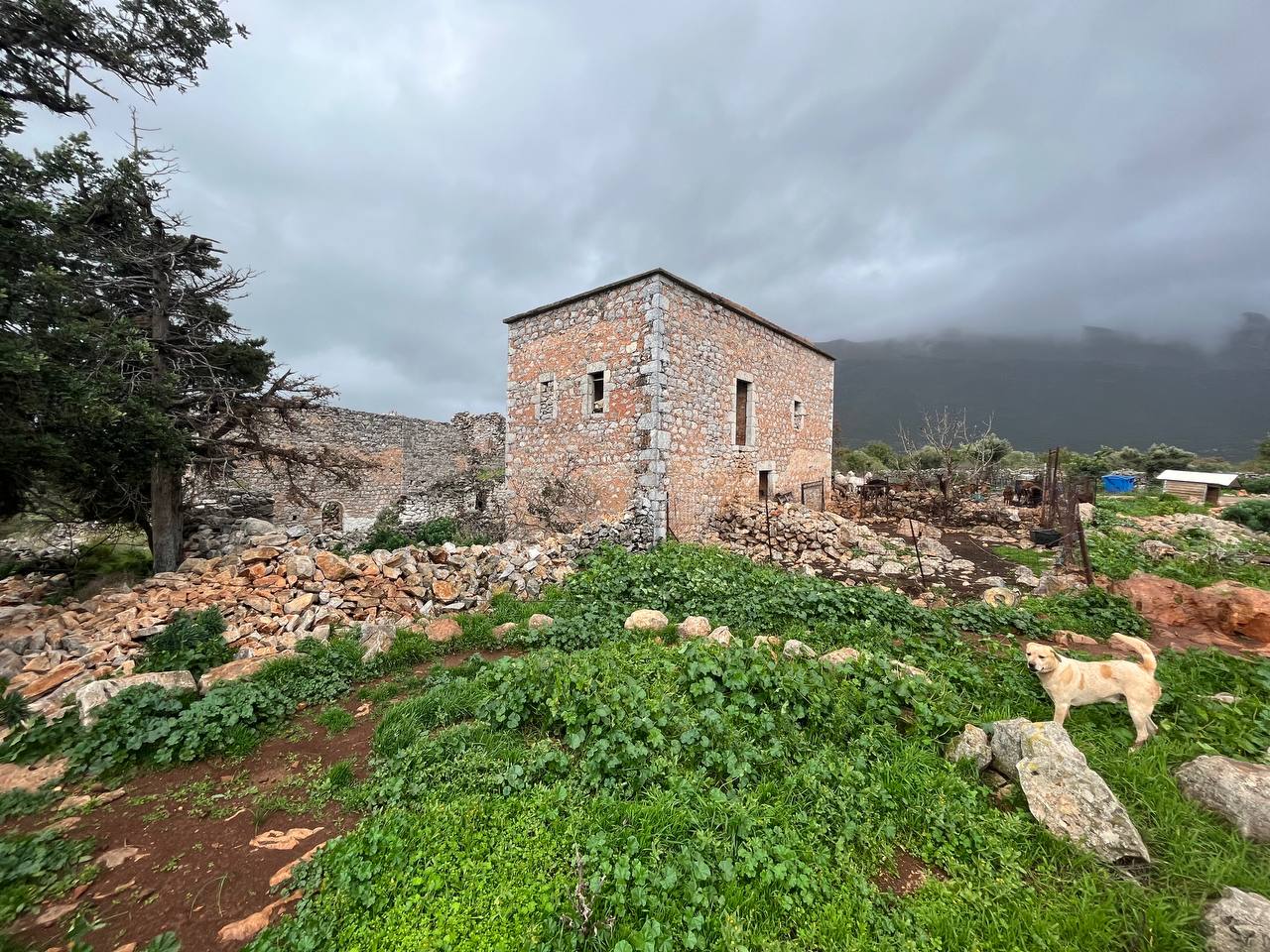 House for sale in Areopolis (Mani) 180k